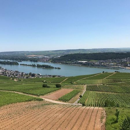 Ruedesheimer Wohlfuehloase Rüdesheim am Rhein Exteriér fotografie
