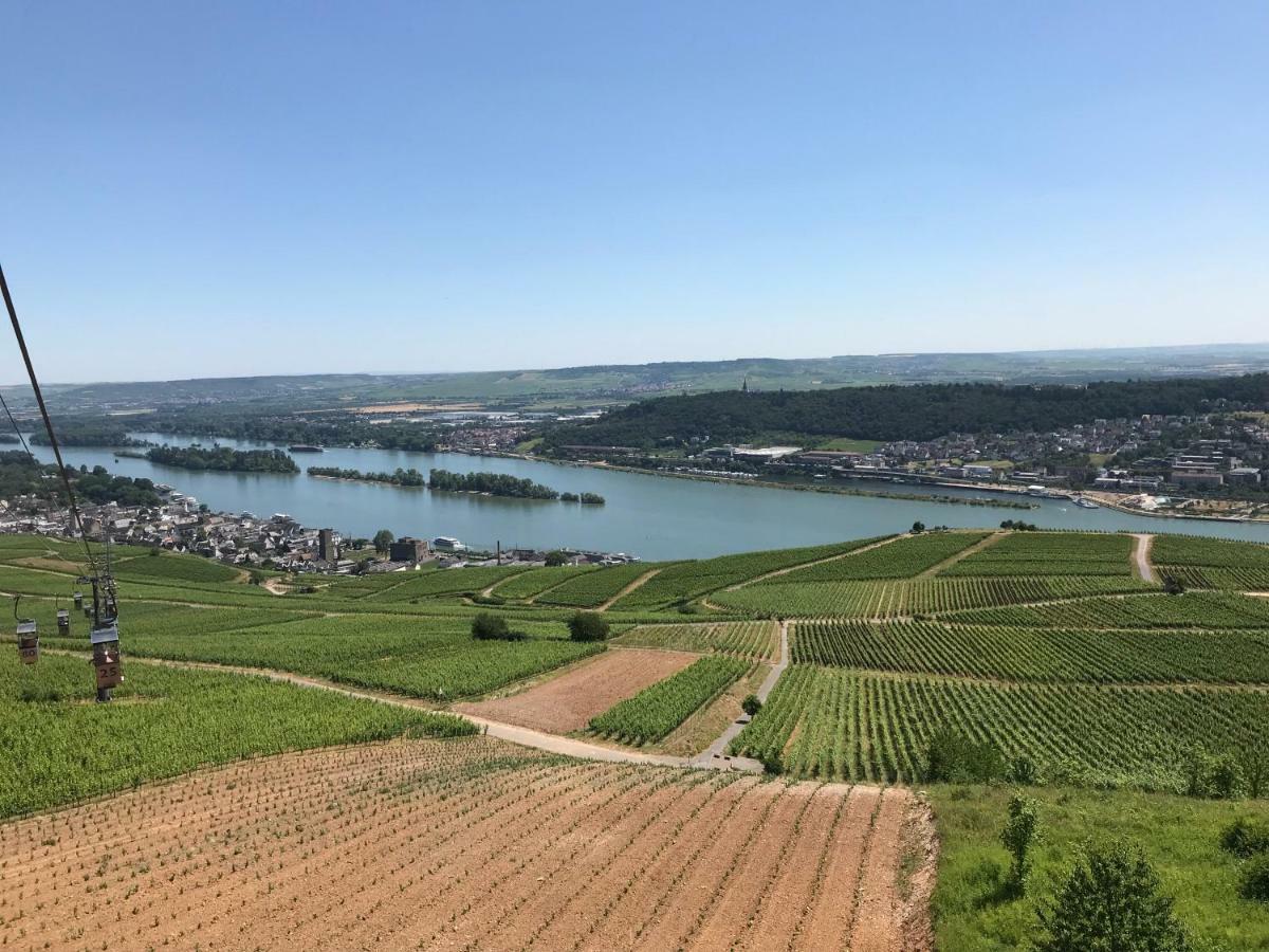 Ruedesheimer Wohlfuehloase Rüdesheim am Rhein Exteriér fotografie