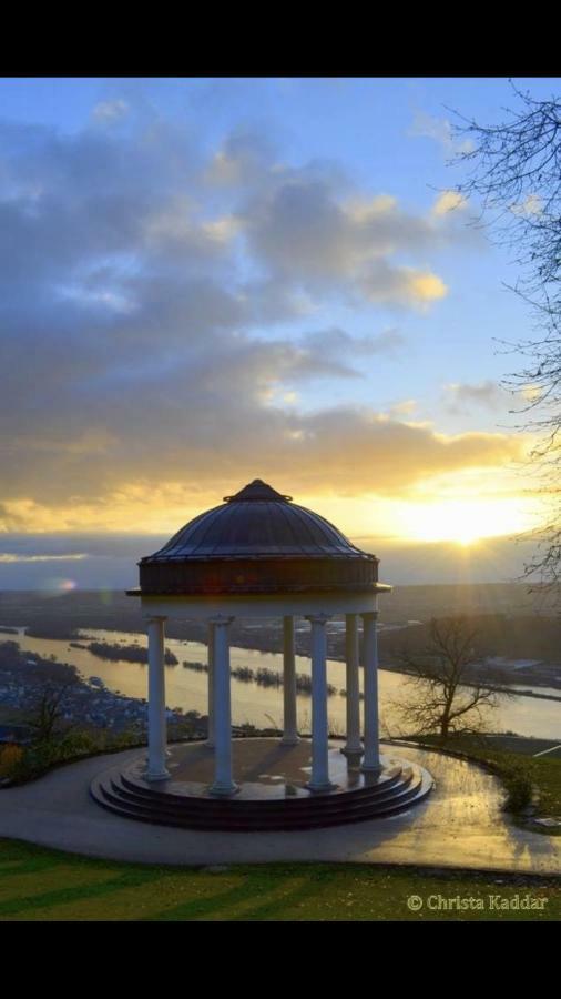 Ruedesheimer Wohlfuehloase Rüdesheim am Rhein Exteriér fotografie